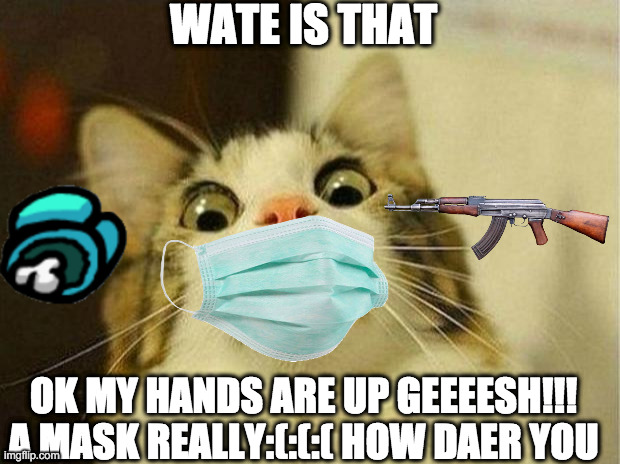 Scared Cat Meme | WATE IS THAT; OK MY HANDS ARE UP GEEEESH!!! A MASK REALLY:(:(:( HOW DAER YOU | image tagged in memes,scared cat | made w/ Imgflip meme maker