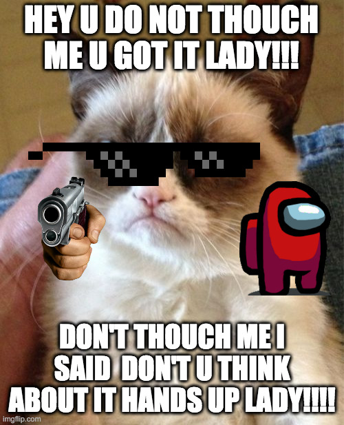 Grumpy Cat | HEY U DO NOT THOUCH ME U GOT IT LADY!!! DON'T THOUCH ME I SAID  DON'T U THINK ABOUT IT HANDS UP LADY!!!! | image tagged in memes,grumpy cat | made w/ Imgflip meme maker