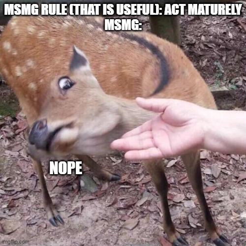 Most people are the opposite | MSMG RULE (THAT IS USEFUL): ACT MATURELY
MSMG:; NOPE | image tagged in nope | made w/ Imgflip meme maker