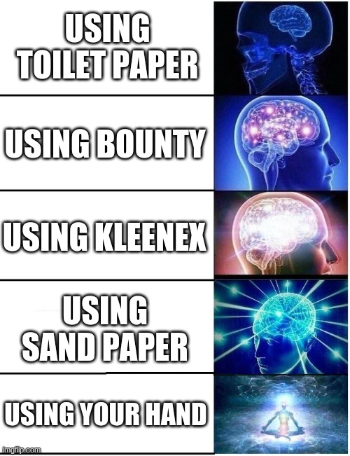 How to wipe | USING TOILET PAPER; USING BOUNTY; USING KLEENEX; USING SAND PAPER; USING YOUR HAND | image tagged in expanding brain 5 panel,toilet paper | made w/ Imgflip meme maker