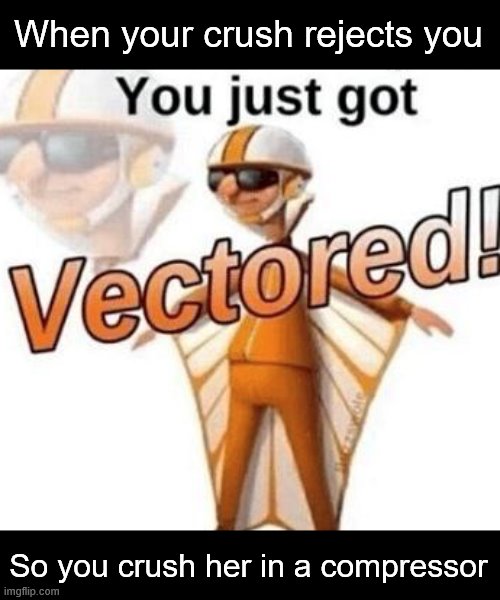 You just got vectored | When your crush rejects you So you crush her in a compressor | image tagged in you just got vectored | made w/ Imgflip meme maker