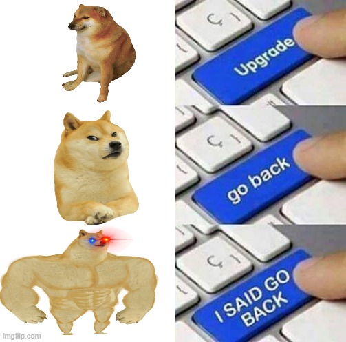 Just upgrade doge! | image tagged in i said go back,doge | made w/ Imgflip meme maker
