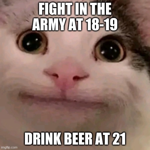 state laws are getting a little off im not a drinker but thats a litte unfair | FIGHT IN THE ARMY AT 18-19; DRINK BEER AT 21 | image tagged in beluga | made w/ Imgflip meme maker