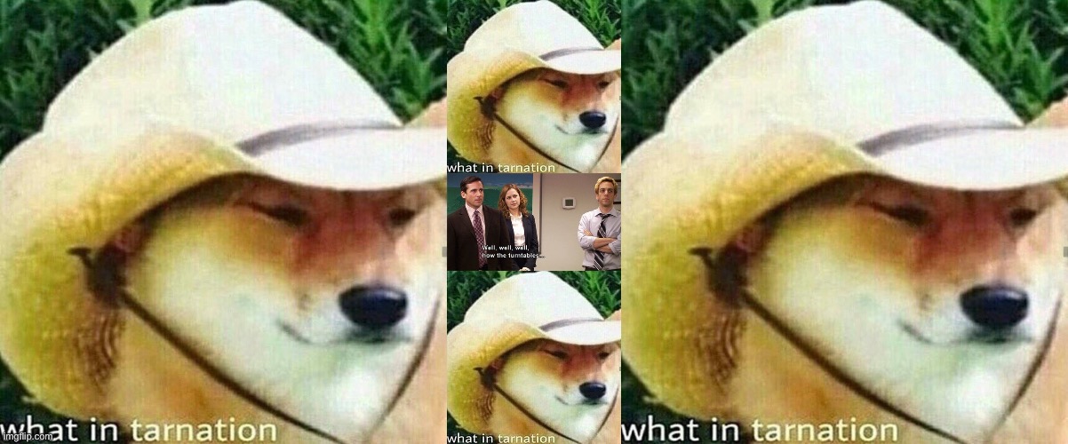 image tagged in what in tarnation dog,how the turntables | made w/ Imgflip meme maker