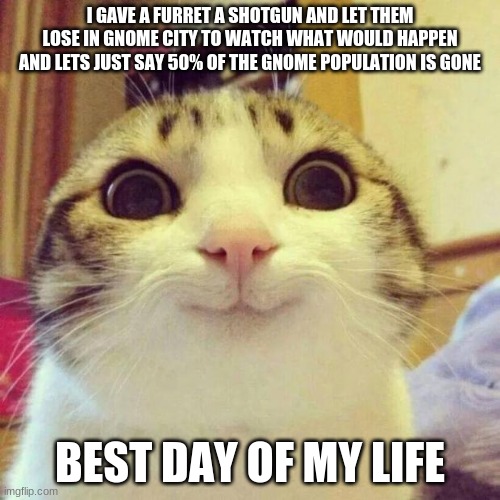 image title | I GAVE A FURRET A SHOTGUN AND LET THEM LOSE IN GNOME CITY TO WATCH WHAT WOULD HAPPEN AND LETS JUST SAY 50% OF THE GNOME POPULATION IS GONE; BEST DAY OF MY LIFE | image tagged in memes,smiling cat | made w/ Imgflip meme maker