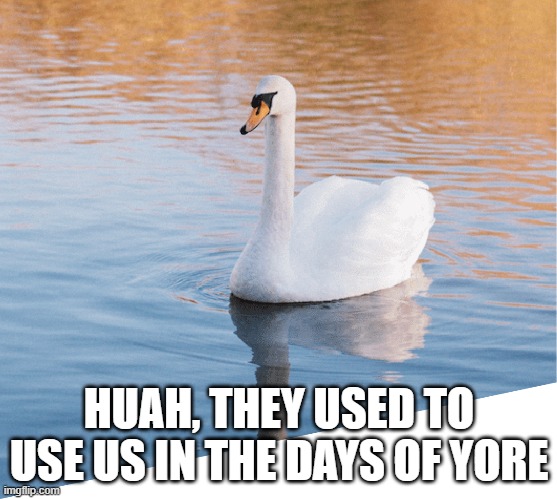 HUAH, THEY USED TO USE US IN THE DAYS OF YORE | made w/ Imgflip meme maker