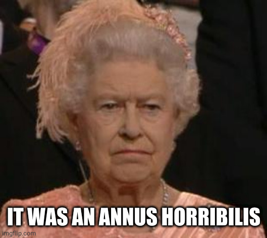 queen | IT WAS AN ANNUS HORRIBILIS | image tagged in queen | made w/ Imgflip meme maker
