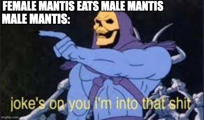 Jokes on you. | FEMALE MANTIS EATS MALE MANTIS; MALE MANTIS: | image tagged in jokes on you im into that shit | made w/ Imgflip meme maker