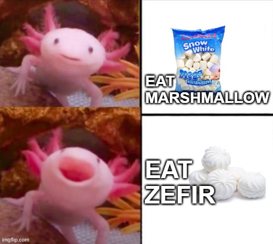 axolotl drake | EAT MARSHMALLOW; EAT ZEFIR | image tagged in axolotl drake,russia,food,funni | made w/ Imgflip meme maker