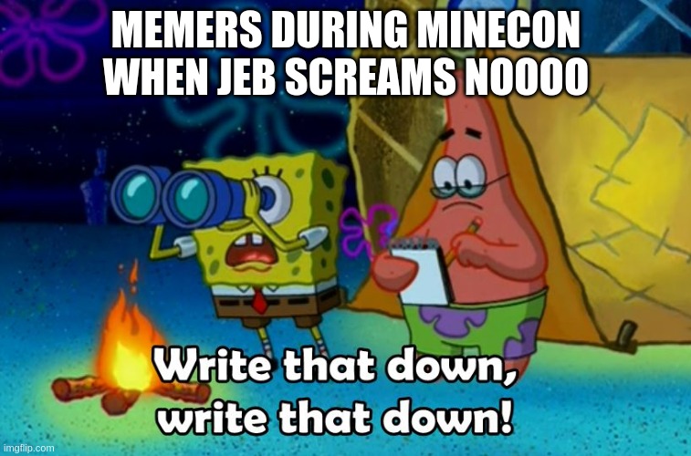 write that down | MEMERS DURING MINECON WHEN JEB SCREAMS NOOOO | image tagged in write that down | made w/ Imgflip meme maker