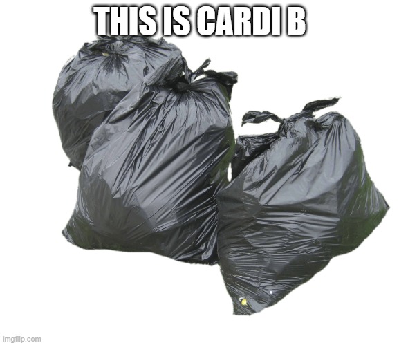 true | THIS IS CARDI B | image tagged in trash bags | made w/ Imgflip meme maker