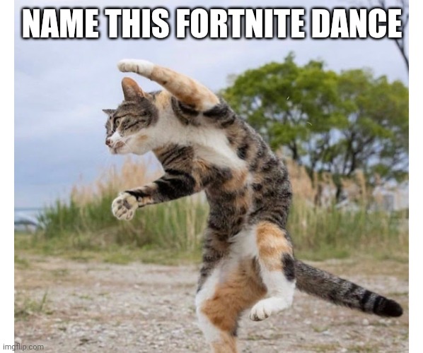 NAME THIS FORTNITE DANCE | image tagged in funny memes | made w/ Imgflip meme maker