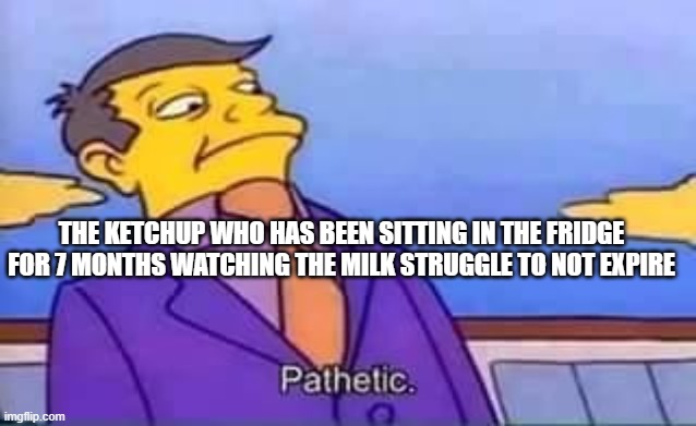 Ketchup's Standards | THE KETCHUP WHO HAS BEEN SITTING IN THE FRIDGE FOR 7 MONTHS WATCHING THE MILK STRUGGLE TO NOT EXPIRE | image tagged in skinner pathetic | made w/ Imgflip meme maker
