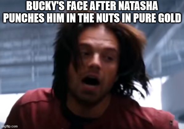 hehehe | BUCKY'S FACE AFTER NATASHA PUNCHES HIM IN THE NUTS IN PURE GOLD | image tagged in captain america civil war,winter soldier | made w/ Imgflip meme maker