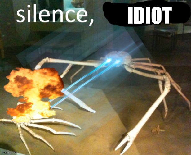 IDIOT | made w/ Imgflip meme maker