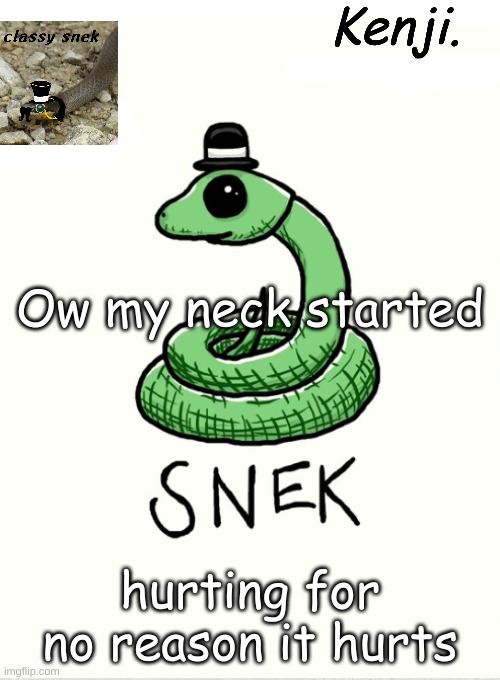 snek | Ow my neck started; hurting for no reason it hurts | image tagged in snek | made w/ Imgflip meme maker