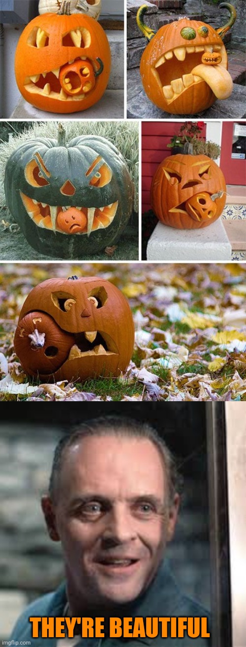 CANNIBAL PUMPKINS |  THEY'RE BEAUTIFUL | image tagged in hanibal,cannibal,pumpkins,pumpkin,spooktober,halloween | made w/ Imgflip meme maker
