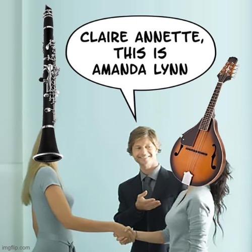 Clarinet meets mandolin | image tagged in clarinet meets mandolin | made w/ Imgflip meme maker