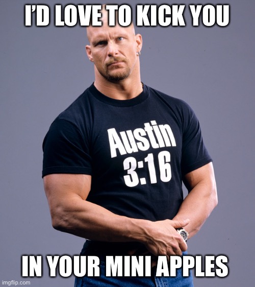 Stone Cold Steve Austin | I’D LOVE TO KICK YOU IN YOUR MINI APPLES | image tagged in stone cold steve austin | made w/ Imgflip meme maker