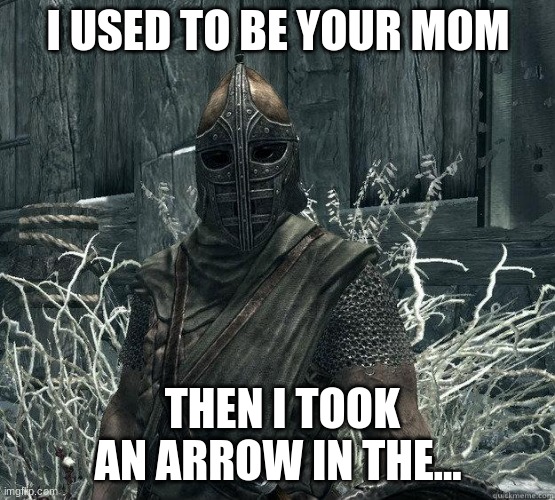 I used to be your mom | I USED TO BE YOUR MOM; THEN I TOOK AN ARROW IN THE... | image tagged in skyrimguard | made w/ Imgflip meme maker