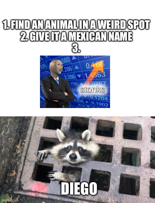 Add clever title here | 1. FIND AN ANIMAL IN A WEIRD SPOT

2. GIVE IT A MEXICAN NAME

3. DIEGO | image tagged in blank white template | made w/ Imgflip meme maker