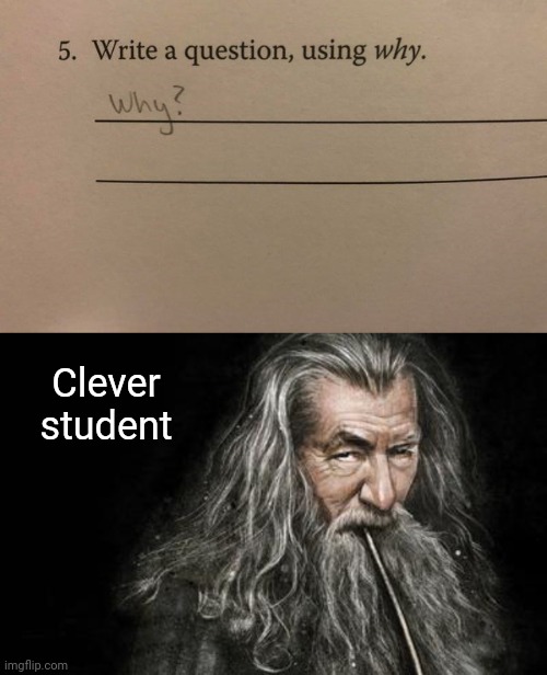 Clever student | Clever student | image tagged in clever gandalf,why,memes,question,meme,answers | made w/ Imgflip meme maker