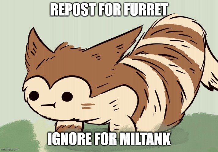 Repost for Furret, FURRET FLOOD | REPOST FOR FURRET; IGNORE FOR MILTANK | image tagged in awkward face furret | made w/ Imgflip meme maker