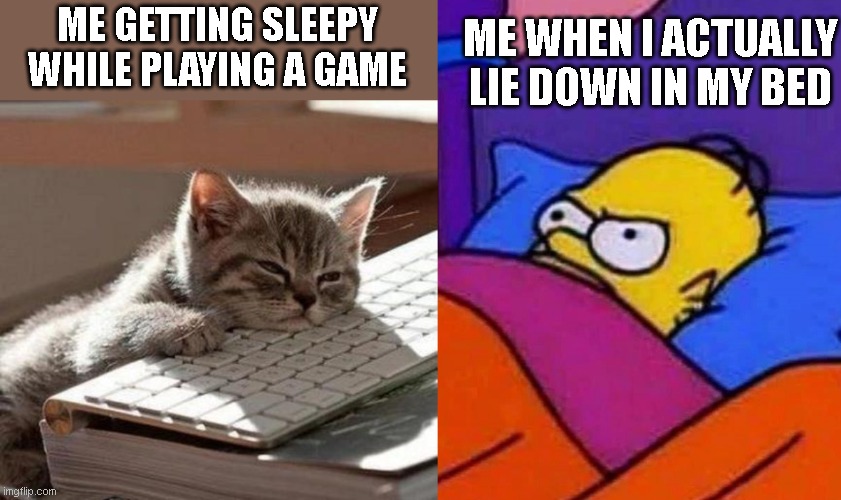 its so annoying |  ME WHEN I ACTUALLY LIE DOWN IN MY BED; ME GETTING SLEEPY WHILE PLAYING A GAME | image tagged in tired cat,homer simpson lying awake | made w/ Imgflip meme maker