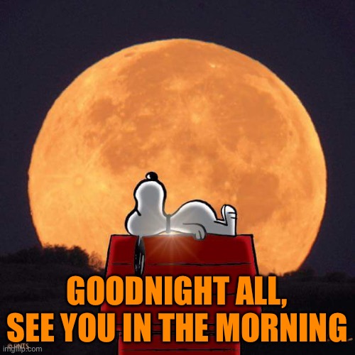 Goodnight :D | GOODNIGHT ALL, SEE YOU IN THE MORNING | image tagged in goodnight | made w/ Imgflip meme maker