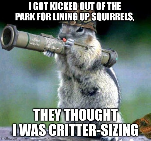 Bazooka Squirrel | I GOT KICKED OUT OF THE PARK FOR LINING UP SQUIRRELS, THEY THOUGHT I WAS CRITTER-SIZING | image tagged in memes,squirrel,lol,eh | made w/ Imgflip meme maker