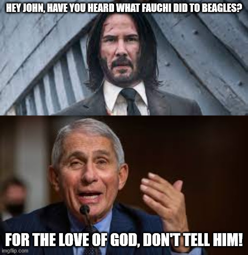Dogs | HEY JOHN, HAVE YOU HEARD WHAT FAUCHI DID TO BEAGLES? FOR THE LOVE OF GOD, DON'T TELL HIM! | made w/ Imgflip meme maker