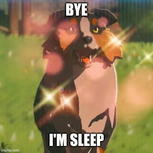 Zelda dog | BYE; I'M SLEEP | image tagged in zelda dog | made w/ Imgflip meme maker