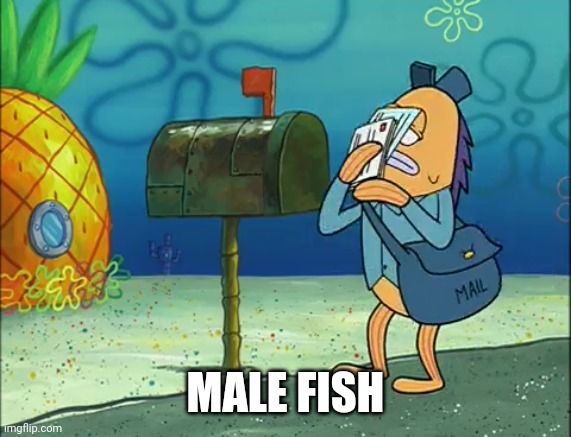 MALE FISH | made w/ Imgflip meme maker