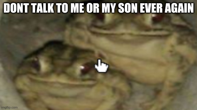 frog | DONT TALK TO ME OR MY SON EVER AGAIN | image tagged in funny memes | made w/ Imgflip meme maker