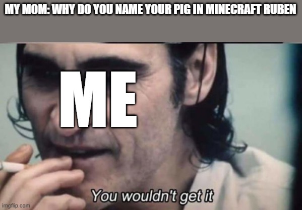 ef in da chat | MY MOM: WHY DO YOU NAME YOUR PIG IN MINECRAFT RUBEN; ME | image tagged in you wouldnt get it | made w/ Imgflip meme maker