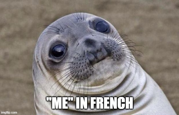 Awkward Moment Sealion Meme | "ME" IN FRENCH | image tagged in memes,awkward moment sealion | made w/ Imgflip meme maker