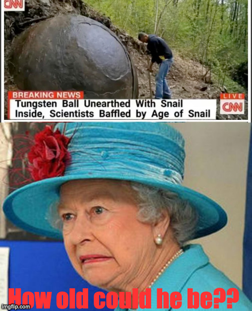 How old could he be?? | image tagged in queen elizabeth,snail,tungsten | made w/ Imgflip meme maker