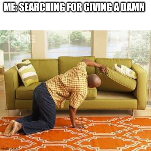 Whites girls after giving a speech about aliens is rasicts |  ME: SEARCHING FOR GIVING A DAMN | image tagged in searching,relatable,dumb,dank memes,wtf | made w/ Imgflip meme maker