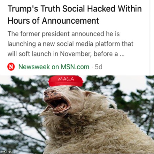 image tagged in political meme | made w/ Imgflip meme maker