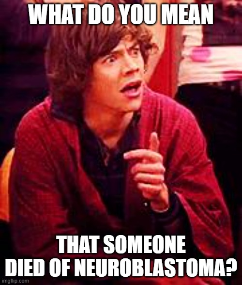 Fake Neuroblastoma | WHAT DO YOU MEAN; THAT SOMEONE DIED OF NEUROBLASTOMA? | image tagged in shocked one direction | made w/ Imgflip meme maker