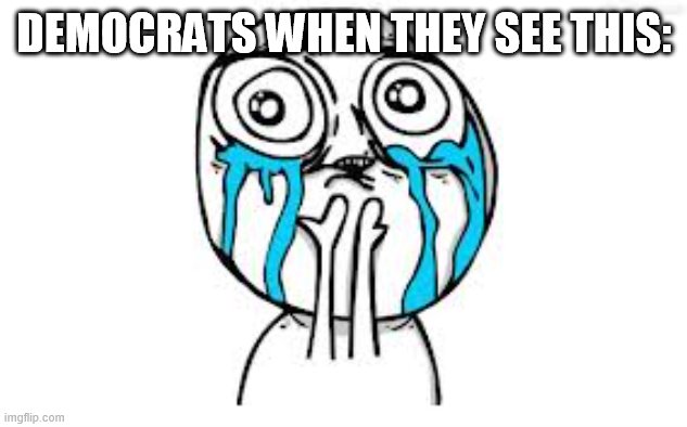 Crying Because Of Cute Meme | DEMOCRATS WHEN THEY SEE THIS: | image tagged in memes,crying because of cute | made w/ Imgflip meme maker