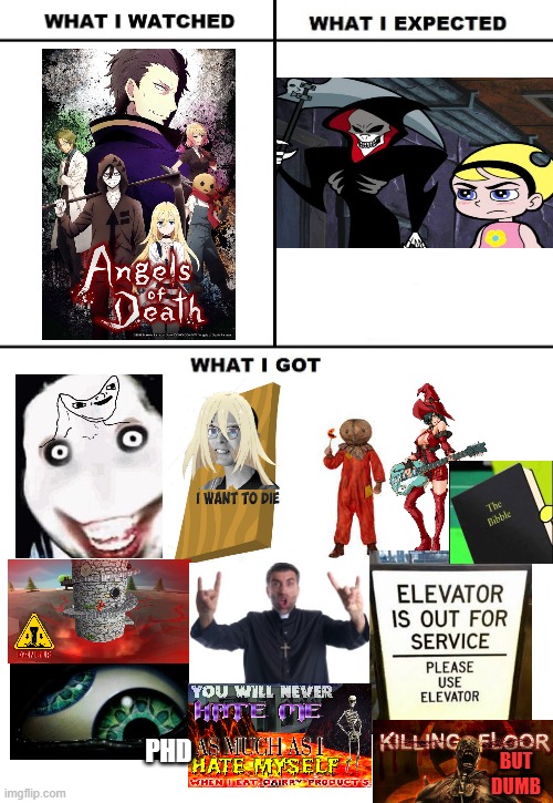 Angels of Death be like that | PHD; BUT DUMB | image tagged in what i watched/ what i expected/ what i got,angels of death,anime,anime meme,aod | made w/ Imgflip meme maker