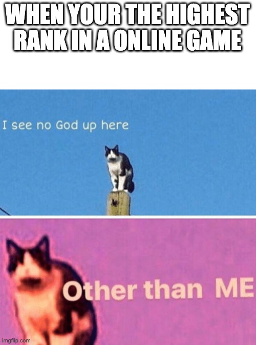 Hail pole cat | WHEN YOUR THE HIGHEST RANK IN A ONLINE GAME | image tagged in hail pole cat | made w/ Imgflip meme maker