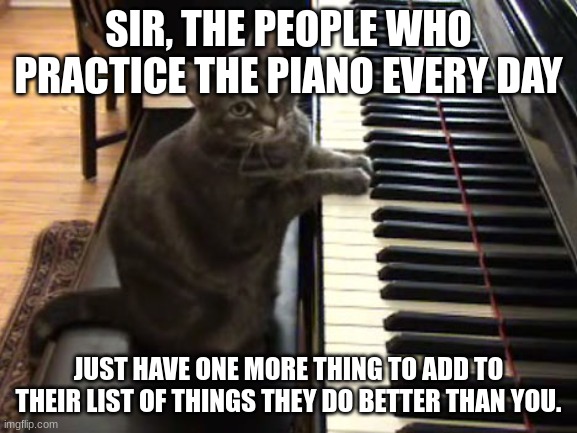 cat piano | SIR, THE PEOPLE WHO PRACTICE THE PIANO EVERY DAY JUST HAVE ONE MORE THING TO ADD TO THEIR LIST OF THINGS THEY DO BETTER THAN YOU. | image tagged in cat piano | made w/ Imgflip meme maker