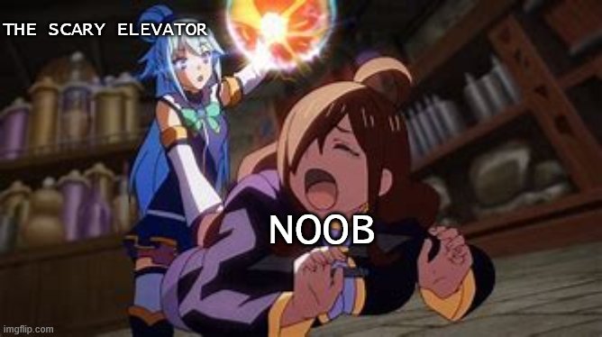when a noob play to the scary elevator for the first time | THE SCARY ELEVATOR; NOOB | image tagged in wiz cry konosuba | made w/ Imgflip meme maker