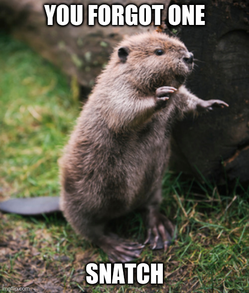rodent that makes dams | YOU FORGOT ONE; SNATCH | image tagged in beaver,snatch | made w/ Imgflip meme maker