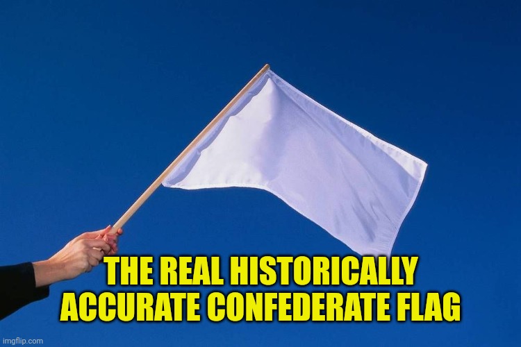 White flag | THE REAL HISTORICALLY ACCURATE CONFEDERATE FLAG | image tagged in white flag | made w/ Imgflip meme maker
