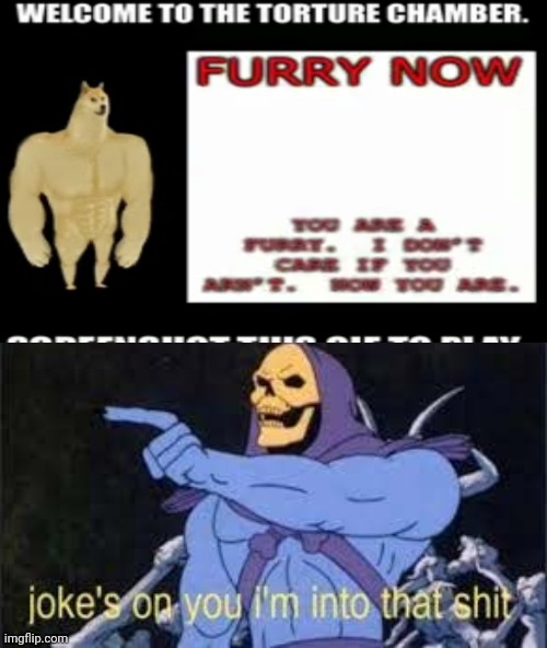 image tagged in jokes on you im into that shit,furry | made w/ Imgflip meme maker
