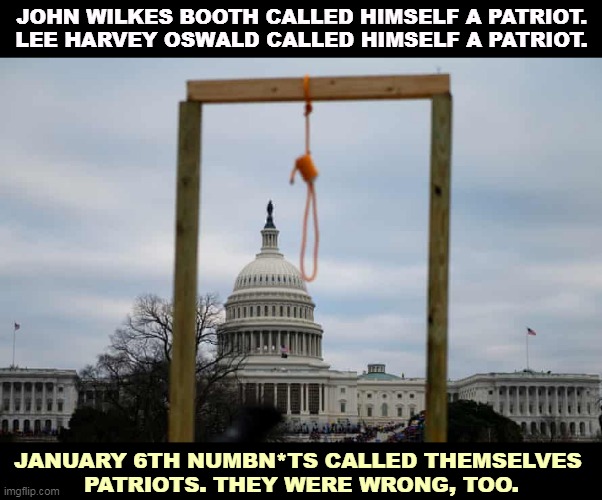 Wrong. | JOHN WILKES BOOTH CALLED HIMSELF A PATRIOT.
LEE HARVEY OSWALD CALLED HIMSELF A PATRIOT. JANUARY 6TH NUMBN*TS CALLED THEMSELVES 
PATRIOTS. THEY WERE WRONG, TOO. | image tagged in capitol hill,coup,guillotine,idiots | made w/ Imgflip meme maker