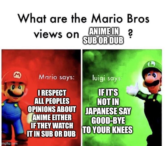 Them Knees | ANIME IN SUB OR DUB; IF IT’S NOT IN JAPANESE SAY GOOD-BYE TO YOUR KNEES; I RESPECT ALL PEOPLES OPINIONS ABOUT ANIME EITHER IF THEY WATCH IT IN SUB OR DUB | image tagged in mario bros views | made w/ Imgflip meme maker